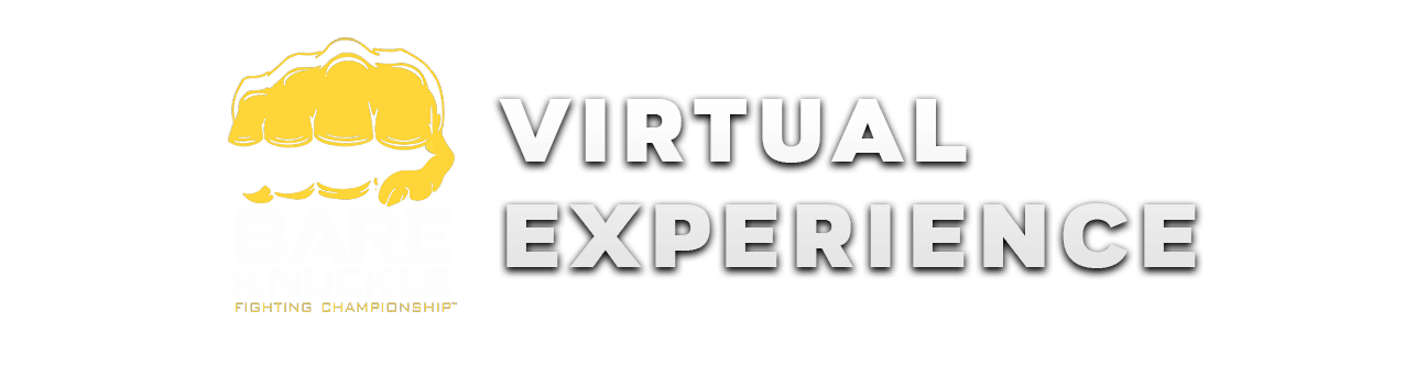 Vanzant vs Ostovich Virtual Experience